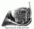 french_horn_cor-155.gif